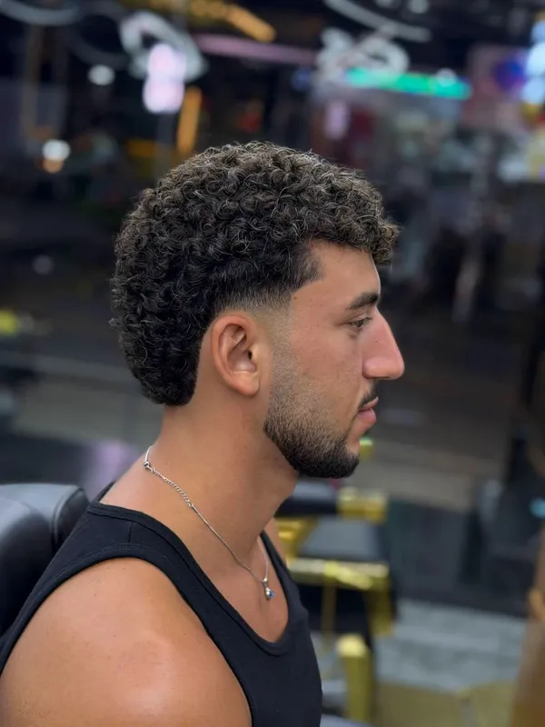 Curly top with a taper, side profile